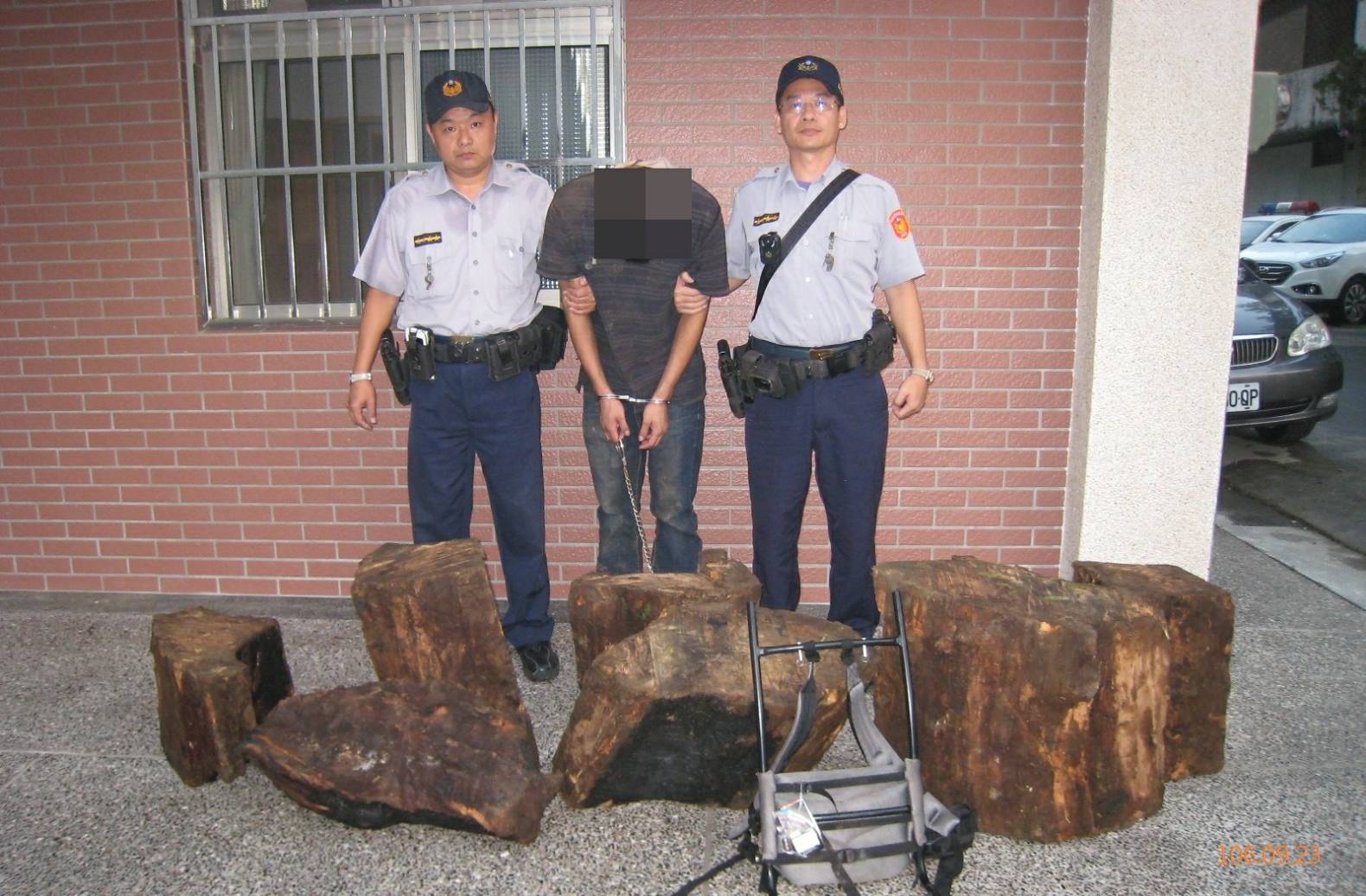 山老鼠1