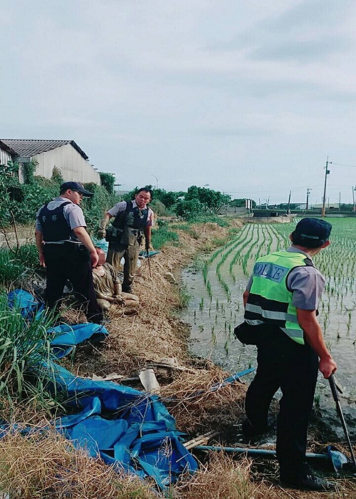 現場圍捕